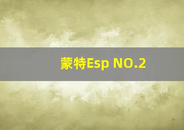 蒙特Esp NO.2